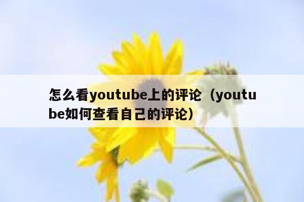 怎么看youtube上的评论（youtube如何查看自己的评论） 第1张