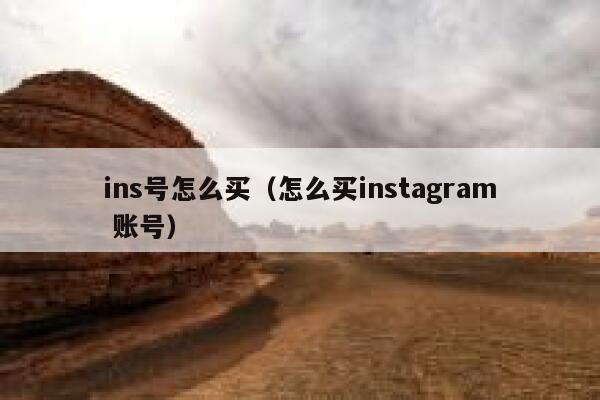 ins号怎么买（怎么买instagram 账号） 第1张
