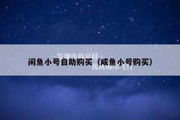 闲鱼小号自助购买（咸鱼小号购买） 第1张