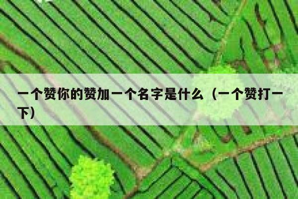 一个赞你的赞加一个名字是什么（一个赞打一下） 第1张