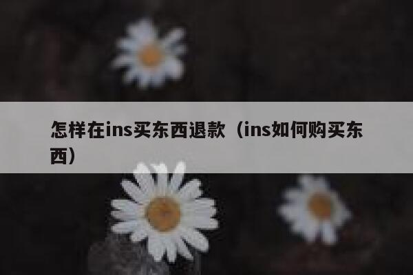 怎样在ins买东西退款（ins如何购买东西） 第1张