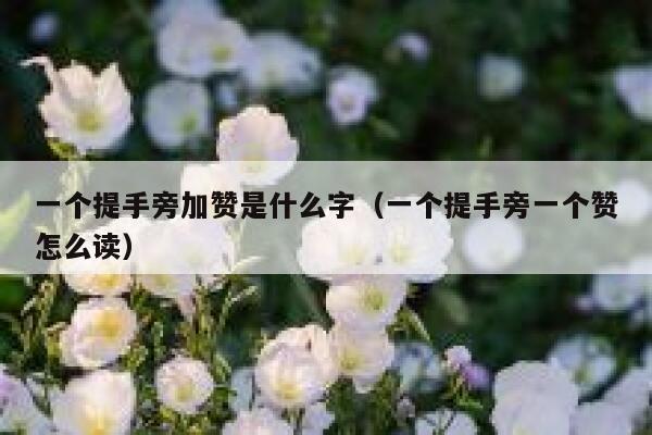 一个提手旁加赞是什么字（一个提手旁一个赞怎么读） 第1张