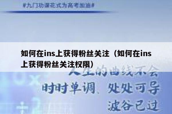 如何在ins上获得粉丝关注（如何在ins上获得粉丝关注权限） 第1张