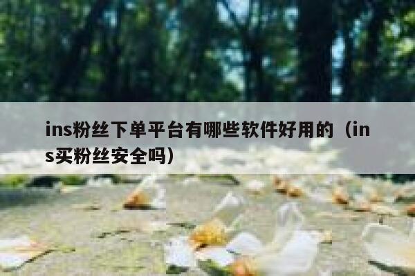 ins粉丝下单平台有哪些软件好用的（ins买粉丝安全吗） 第1张