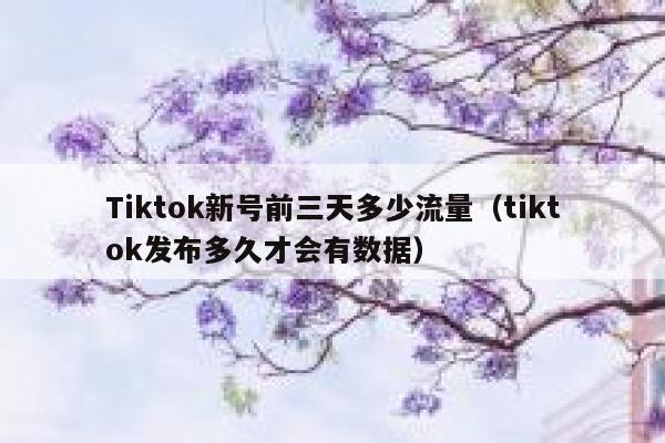 Tiktok新号前三天多少流量（tiktok发布多久才会有数据） 第1张
