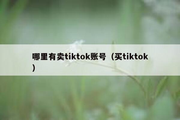 哪里有卖tiktok账号（买tiktok） 第1张