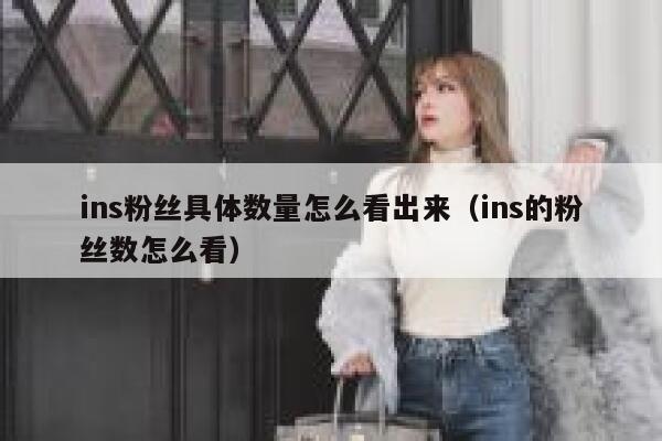 ins粉丝具体数量怎么看出来（ins的粉丝数怎么看） 第1张
