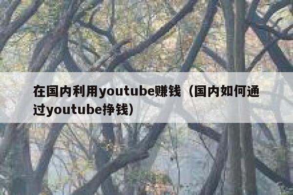 在国内利用youtube赚钱（国内如何通过youtube挣钱） 第1张