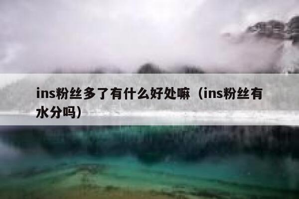 ins粉丝多了有什么好处嘛（ins粉丝有水分吗） 第1张
