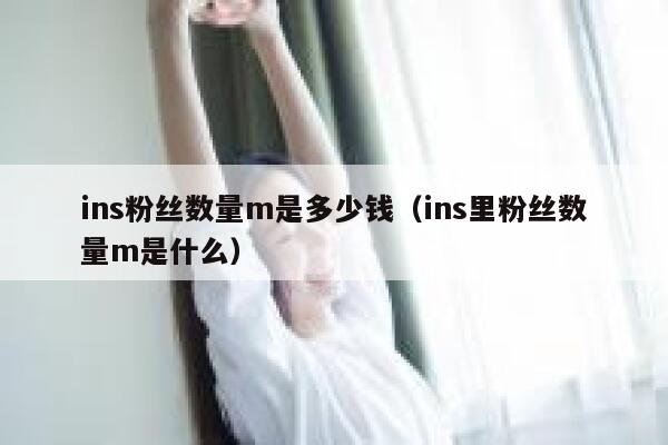 ins粉丝数量m是多少钱（ins里粉丝数量m是什么） 第1张