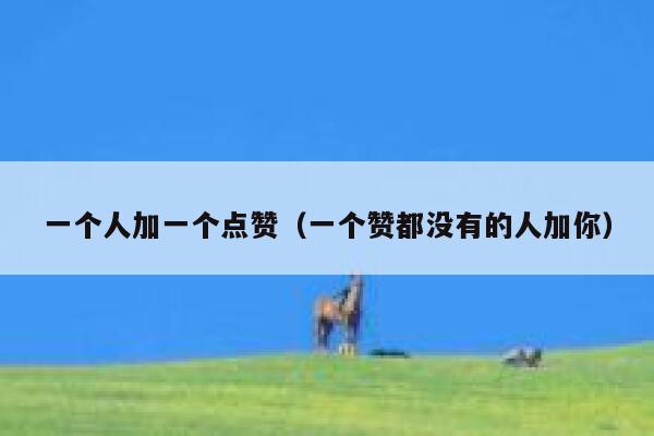 一个人加一个点赞（一个赞都没有的人加你） 第1张
