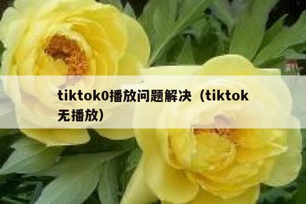tiktok0播放问题解决（tiktok无播放） 第1张