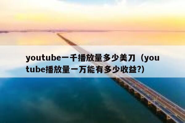 youtube一千播放量多少美刀（youtube播放量一万能有多少收益?） 第1张