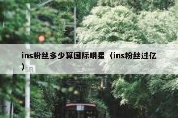 ins粉丝多少算国际明星（ins粉丝过亿） 第1张