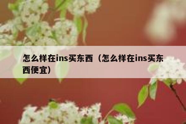 怎么样在ins买东西（怎么样在ins买东西便宜） 第1张