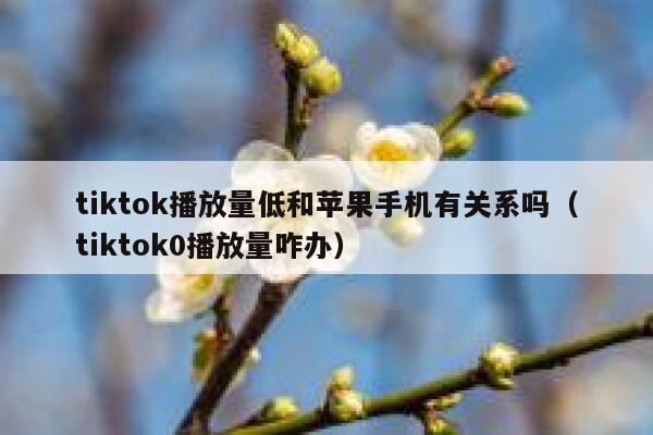 tiktok播放量低和苹果手机有关系吗（tiktok0播放量咋办） 第1张