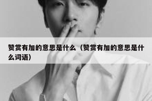赞赏有加的意思是什么（赞赏有加的意思是什么词语） 第1张