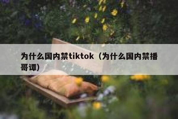 为什么国内禁tiktok（为什么国内禁播哥谭） 第1张