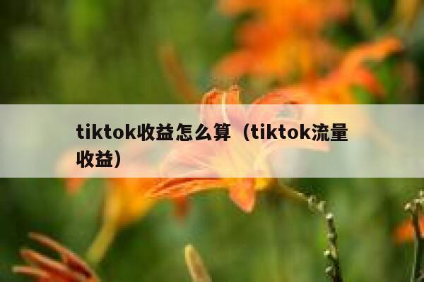tiktok收益怎么算（tiktok流量收益） 第1张