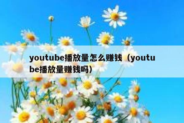 youtube播放量怎么赚钱（youtube播放量赚钱吗） 第1张