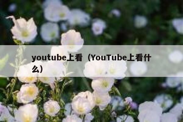 youtube上看（YouTube上看什么） 第1张