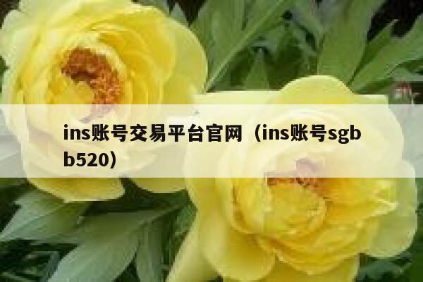 ins账号交易平台官网（ins账号sgbb520） 第1张
