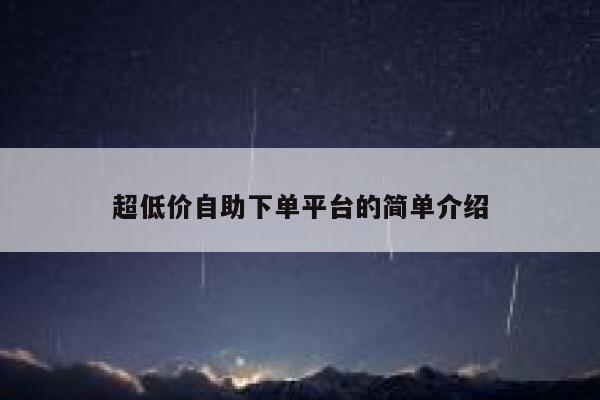 超低价自助下单平台的简单介绍 第1张