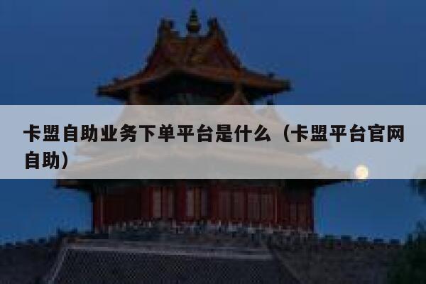 卡盟自助业务下单平台是什么（卡盟平台官网自助） 第1张