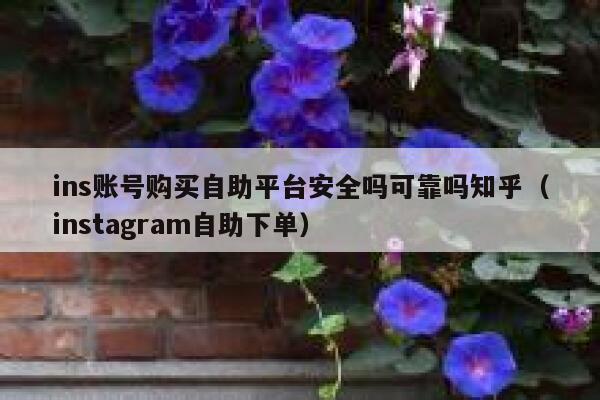 ins账号购买自助平台安全吗可靠吗知乎（instagram自助下单） 第1张