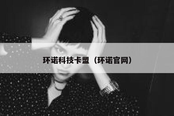 环诺科技卡盟（环诺官网） 第1张