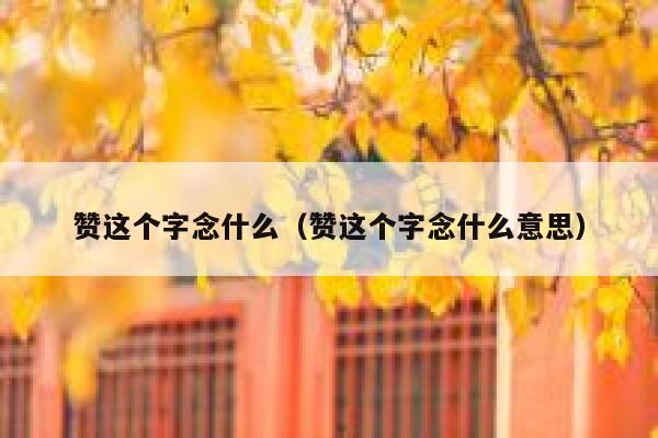 赞这个字念什么（赞这个字念什么意思） 第1张