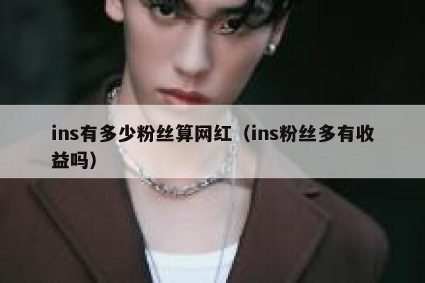 ins有多少粉丝算网红（ins粉丝多有收益吗） 第1张