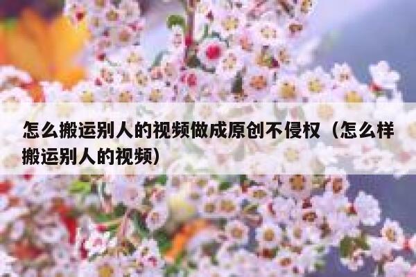 怎么搬运别人的视频做成原创不侵权（怎么样搬运别人的视频） 第1张