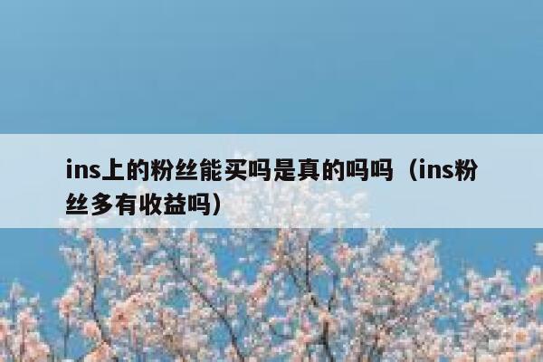 ins上的粉丝能买吗是真的吗吗（ins粉丝多有收益吗） 第1张