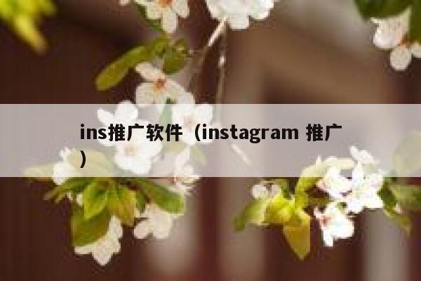 ins推广软件（instagram 推广） 第1张