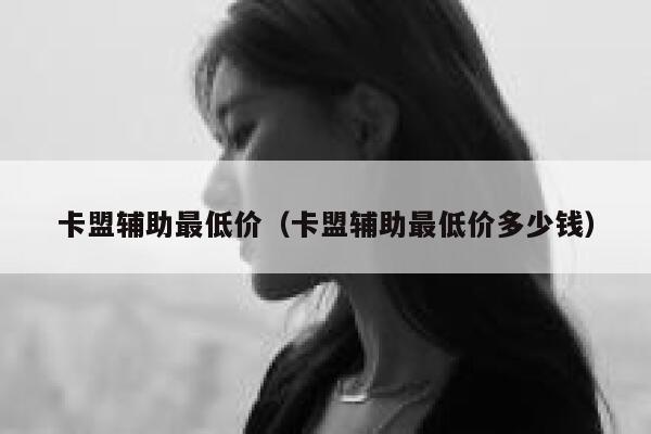 卡盟辅助最低价（卡盟辅助最低价多少钱） 第1张