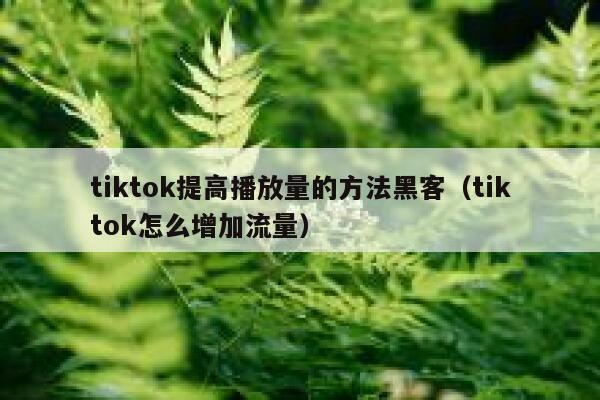tiktok提高播放量的方法黑客(tiktok怎么增加流量) 第1张 tiktok提高播放量的方法黑客(tiktok怎么增加流量) 第1张
