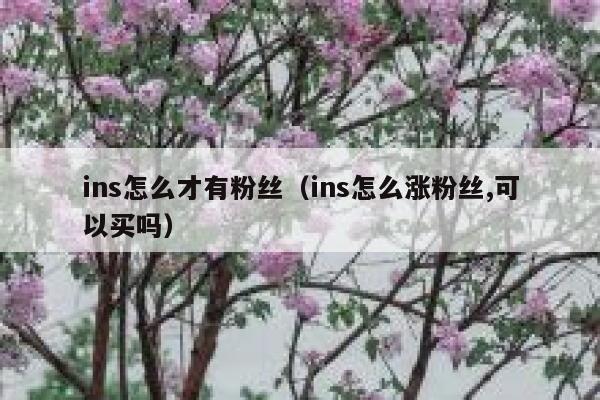 ins怎么才有粉丝（ins怎么涨粉丝,可以买吗） 第1张