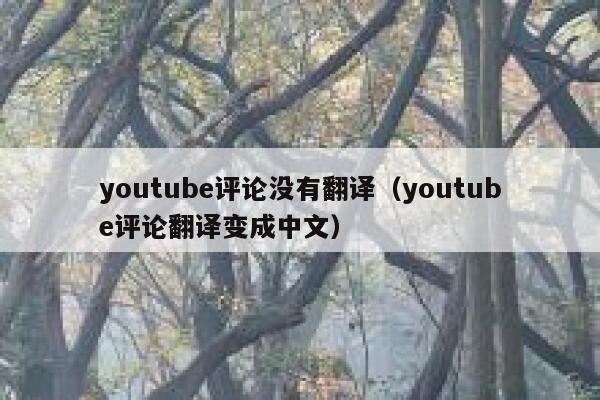 youtube评论没有翻译（youtube评论翻译变成中文） 第1张