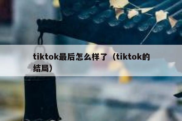tiktok最后怎么样了（tiktok的结局） 第1张