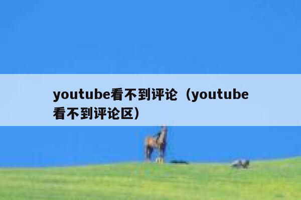 youtube看不到评论（youtube看不到评论区） 第1张