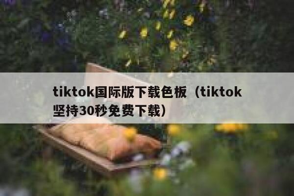 tiktok国际版下载色板（tiktok坚持30秒免费下载） 第1张