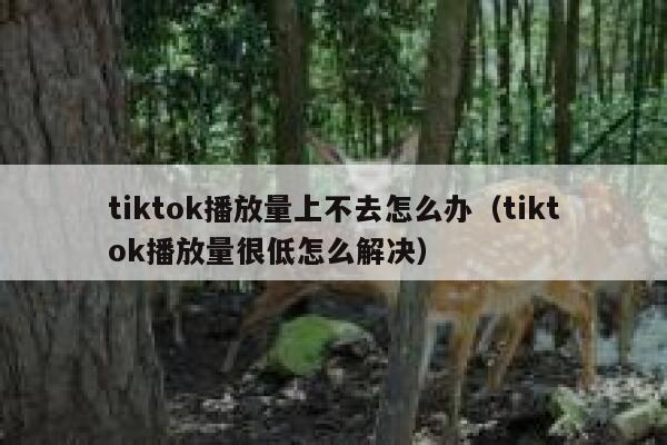 tiktok播放量上不去怎么办（tiktok播放量很低怎么解决） 第1张