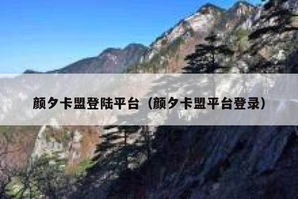 颜夕卡盟登陆平台（颜夕卡盟平台登录） 第1张