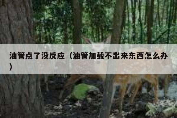 油管点了没反应（油管加载不出来东西怎么办） 第1张