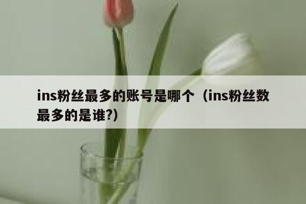 ins粉丝最多的账号是哪个(ins粉丝数最多的是谁?) 第1张 ins粉丝最多的账号是哪个(ins粉丝数最多的是谁?) 第1张