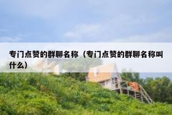 专门点赞的群聊名称（专门点赞的群聊名称叫什么） 第1张