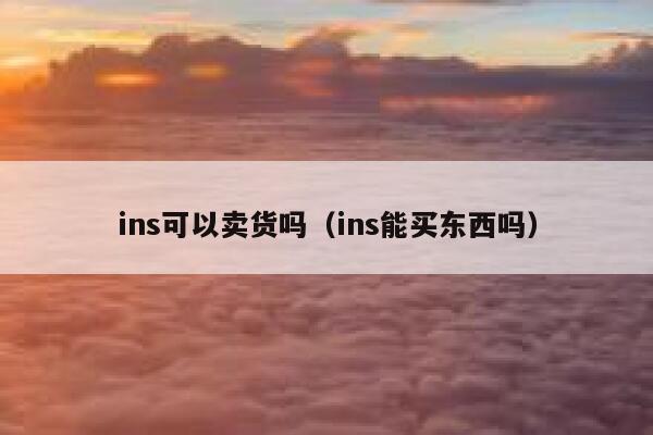 ins可以卖货吗(ins能买东西吗) 第1张 ins可以卖货吗(ins能买东西吗) 第1张