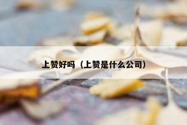 上赞好吗（上赞是什么公司） 第1张