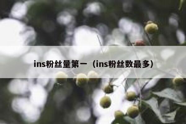 ins粉丝量第一（ins粉丝数最多） 第1张